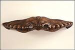 Dungeness Mask, 2012, 27x5x9”, bronze, Ed. Of 3 